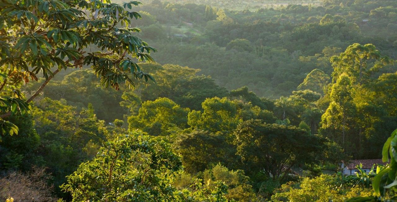 Cerrado Lodge Brasília Exteriér fotografie